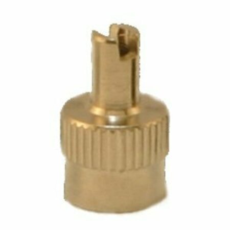 K-T INDUSTRIES SCRWDRVR VALVE CAP, 5PK 6-5543